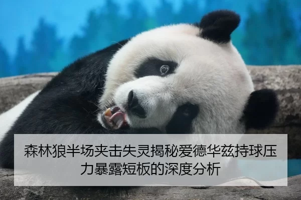森林狼半场夹击失灵揭秘爱德华兹持球压力暴露短板的深度分析